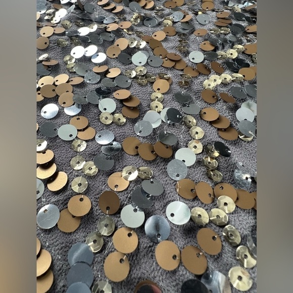 THE Limited Gold Silver Bronze Sequin Short Sleeve Gray Top Size XS - Picture 8 of 13